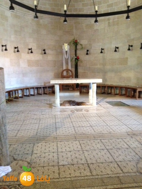 qostanteen 0531 (11).JPG